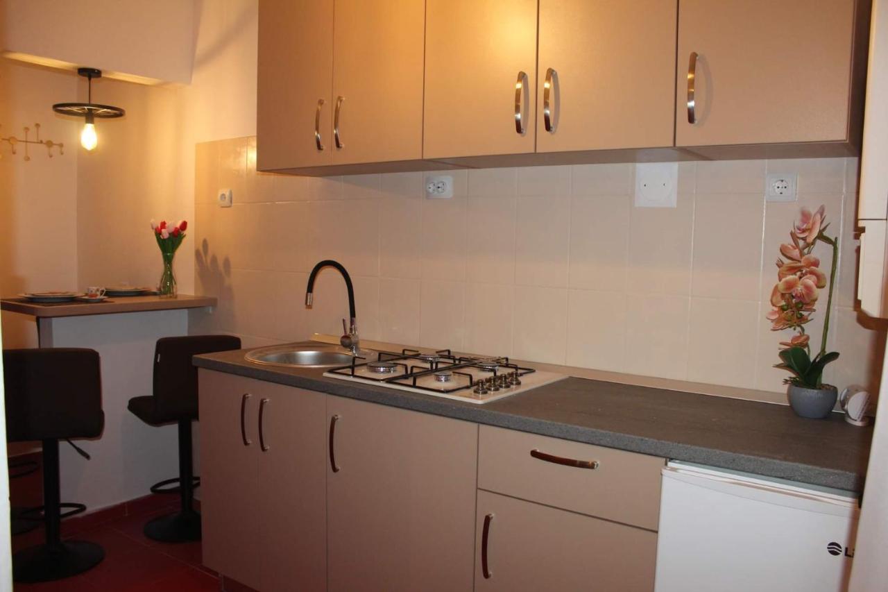 Apartament Dania & Petru Apartment Tirgu Ocna Exterior photo