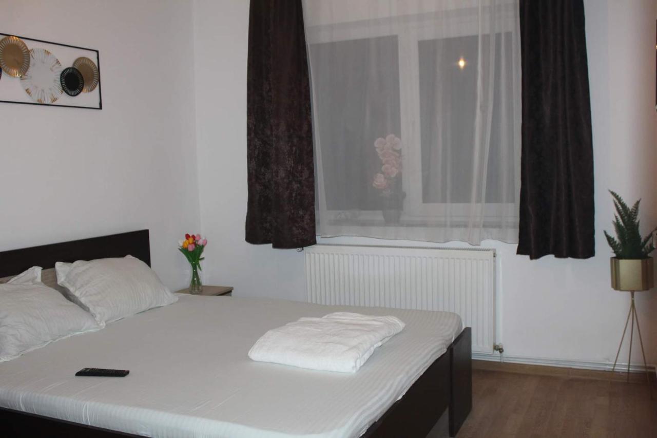 Apartament Dania & Petru Apartment Tirgu Ocna Exterior photo