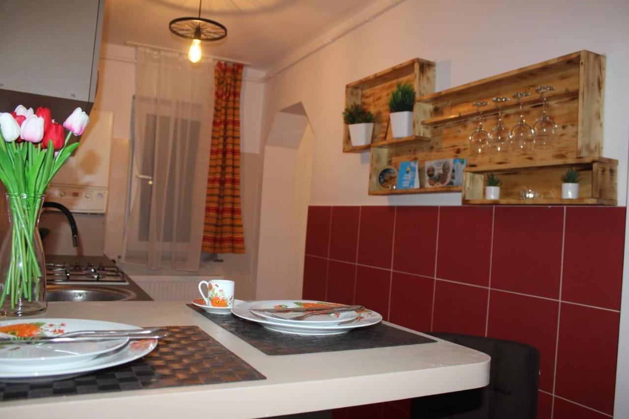 Apartament Dania & Petru Apartment Tirgu Ocna Exterior photo