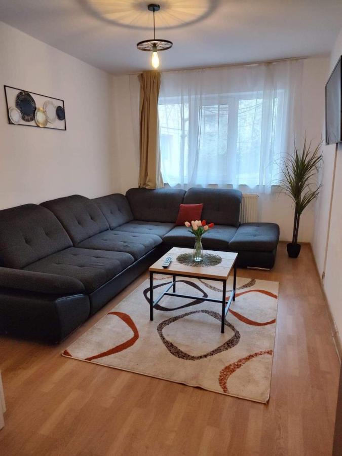 Apartament Dania & Petru Apartment Tirgu Ocna Exterior photo